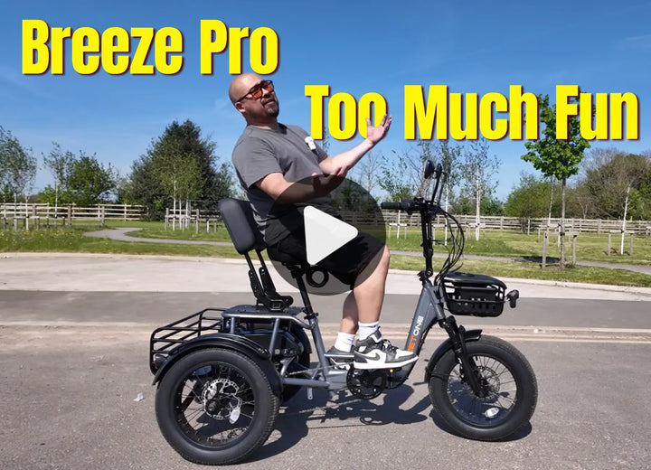 Meet One Trike electric trike review